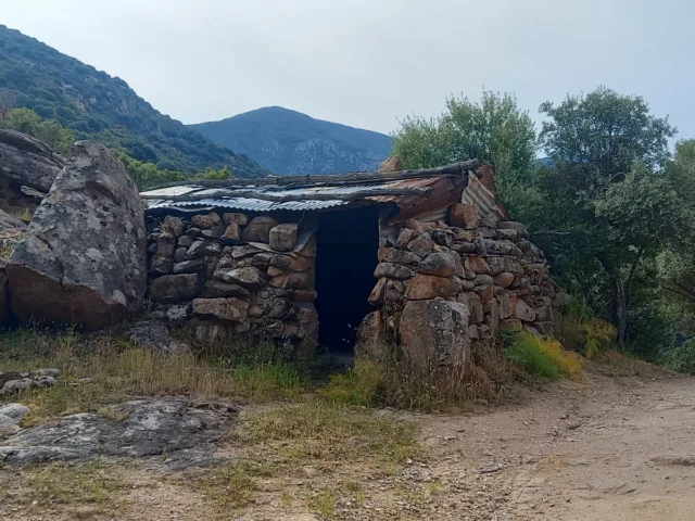 Arcu sa Mossa