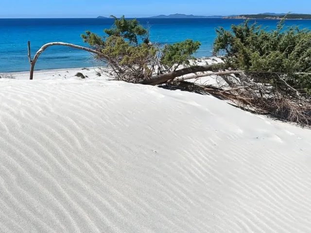 Spiaggia Dune Bianche