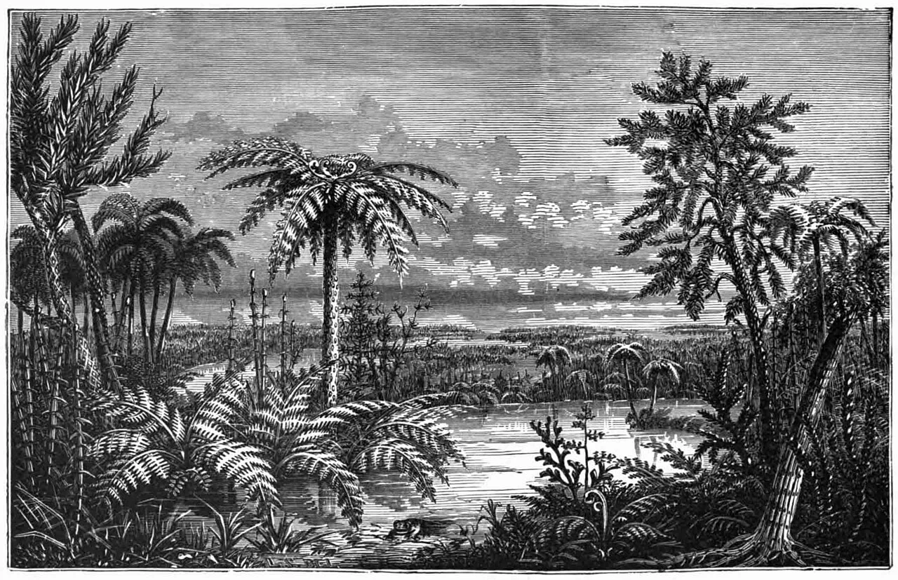 Ricostruzione illustrata di una foresta tropicale del Carbonifero con felci arboree ed equiseti