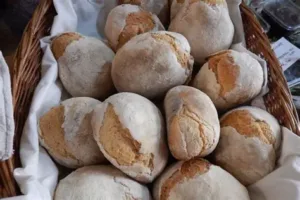 Pane di tradizione di Masainas, simbolo della cultura contadina del territorio