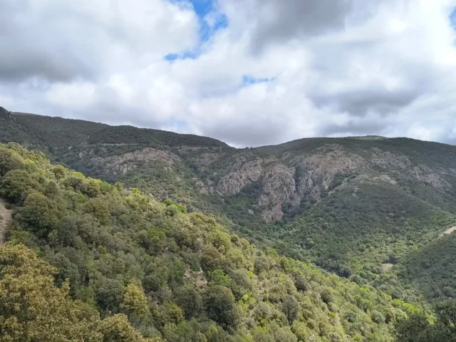 Monte Cidro