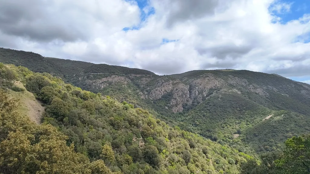 Monte Cidro