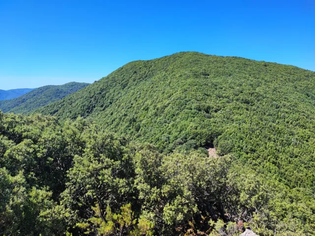 Monte Tiriccu