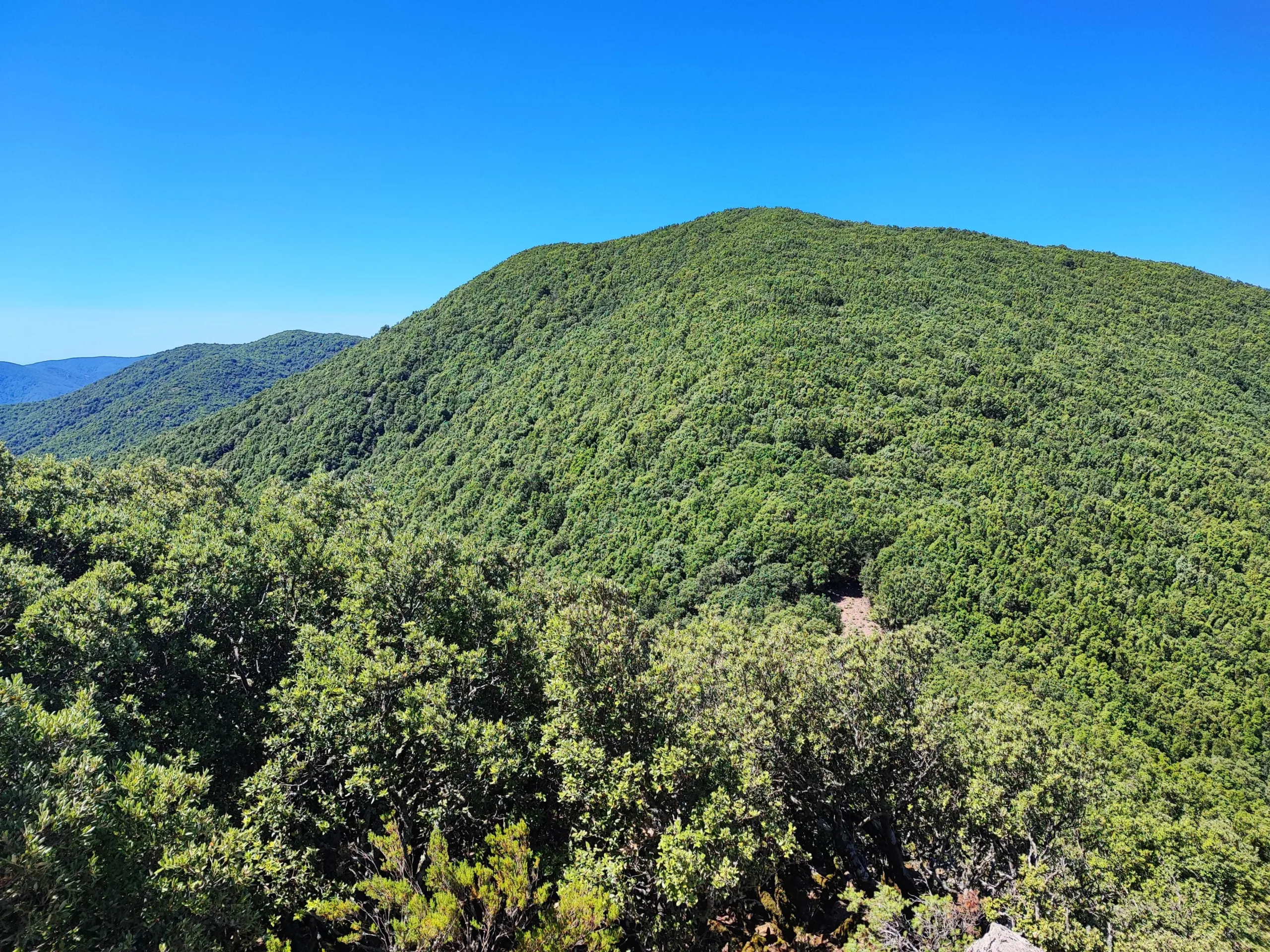 Monte Tiriccu