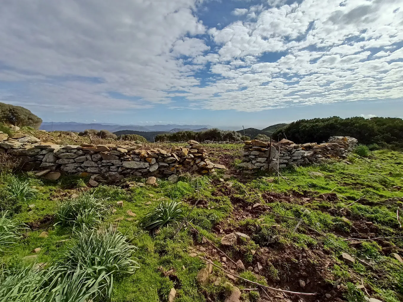 Nuraghe San Pietro