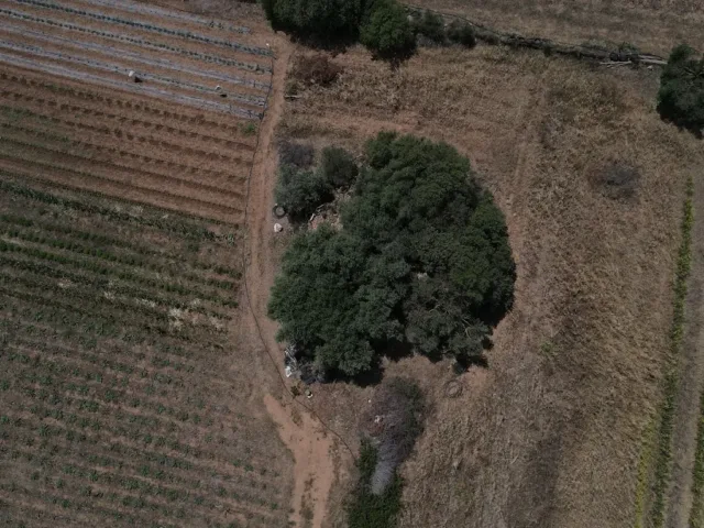 Nuraghe Sa Reina