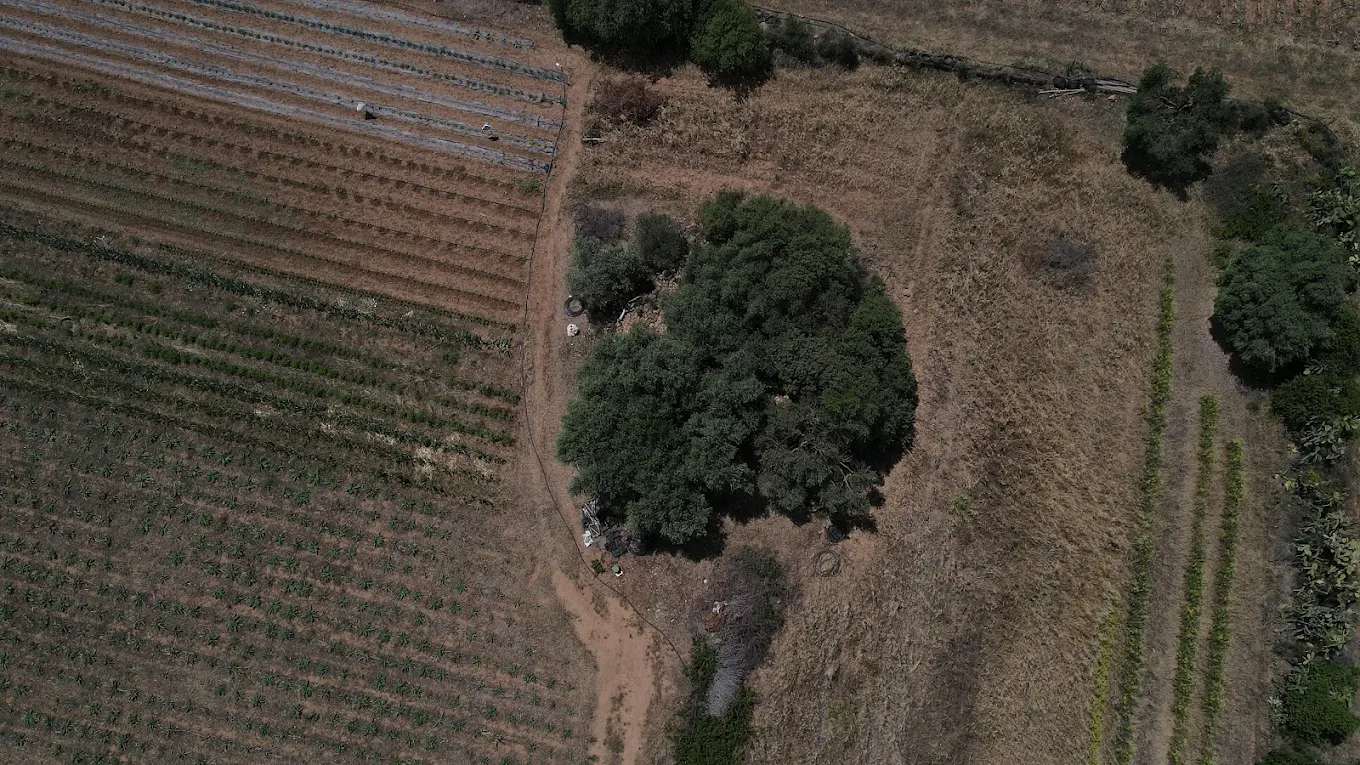 Nuraghe Sa Reina