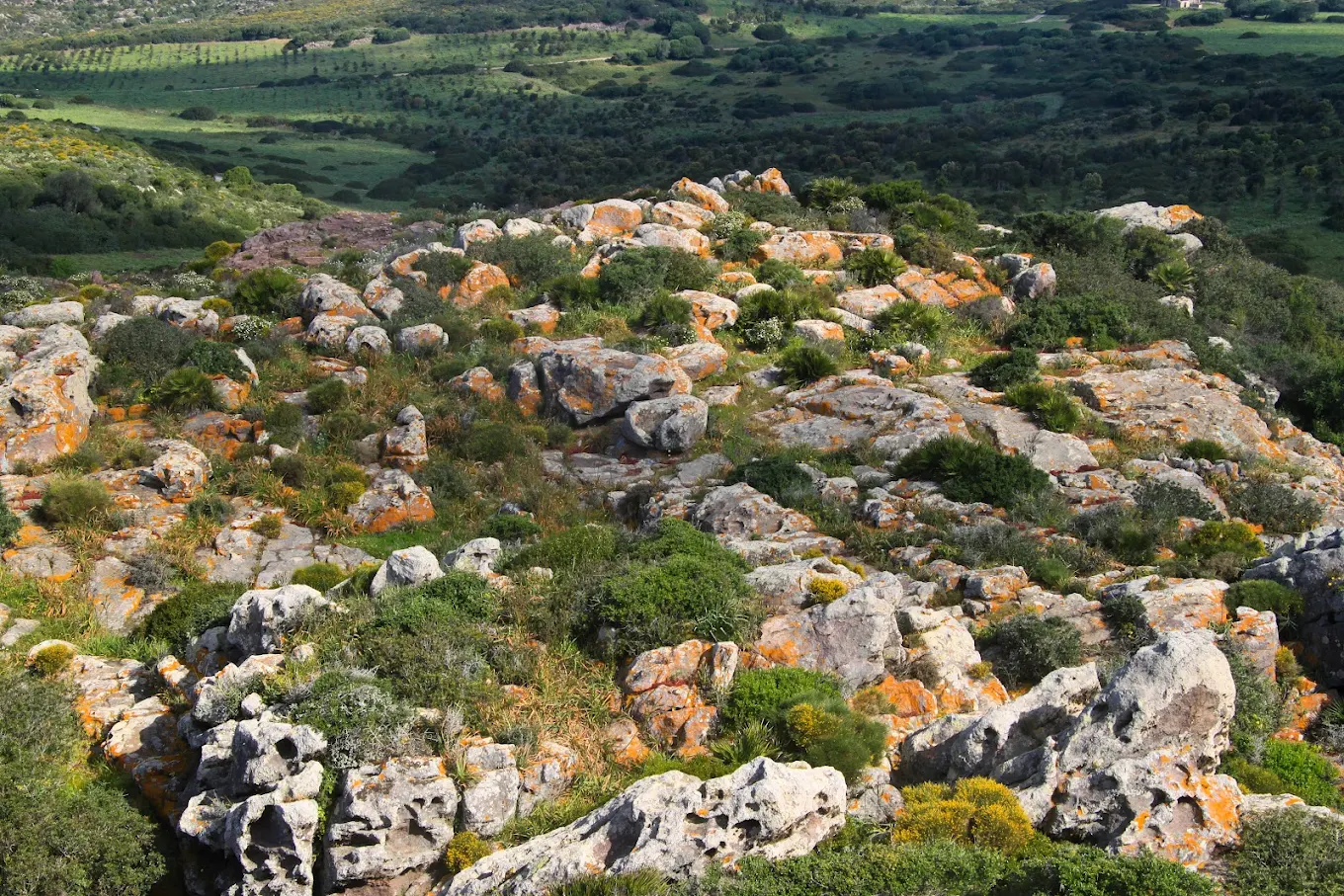 Nuraghe Corongiu Murvonis
