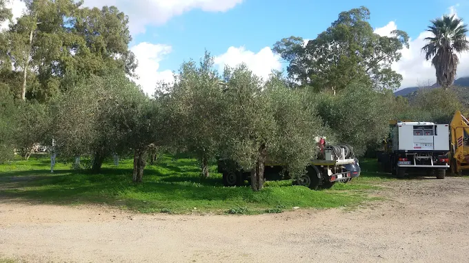 Complesso Forestale di Pantaleo