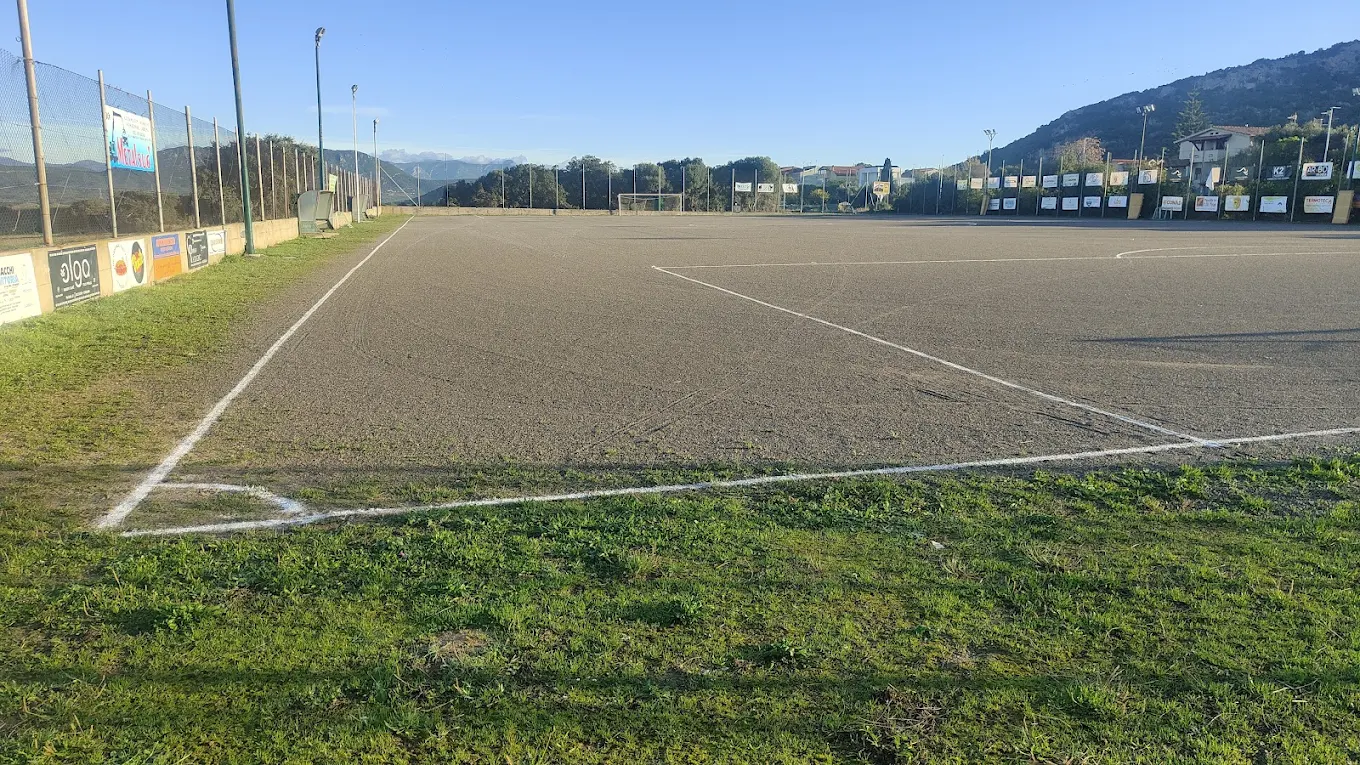 Campo da calcio a 11