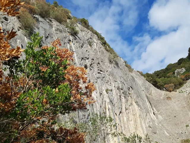 Falesia Punta Pilocca
