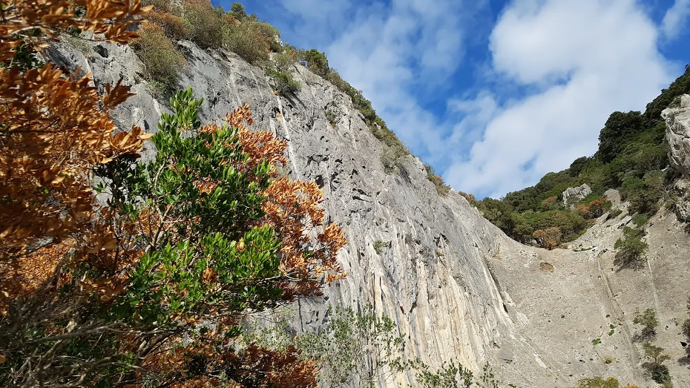 Falesia Punta Pilocca