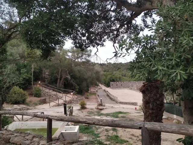 Parco Urbano Canale del Generale