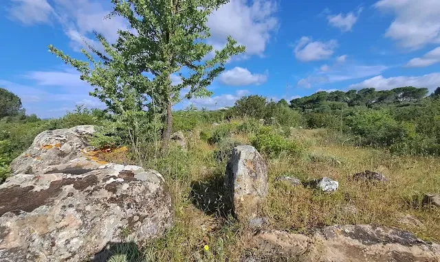 Tombe di Giganti Monte Ollastus