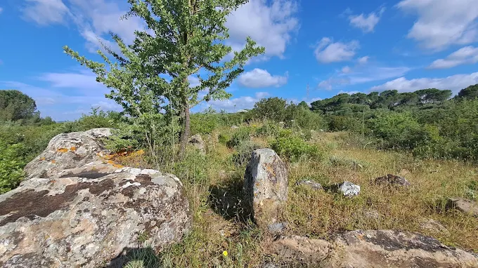 Tombe di Giganti Monte Ollastus