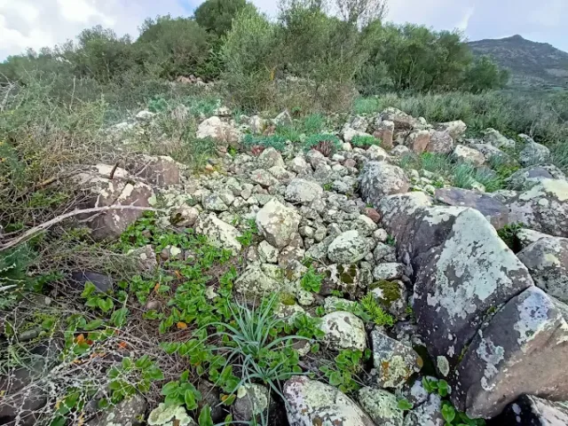 Tomba di Giganti Craminalana I