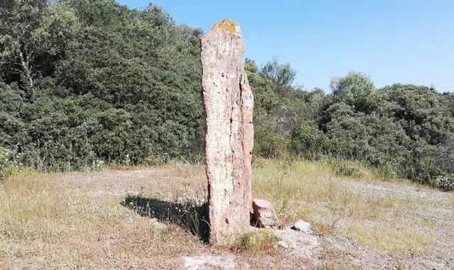 Menhir di Terra Coccoi