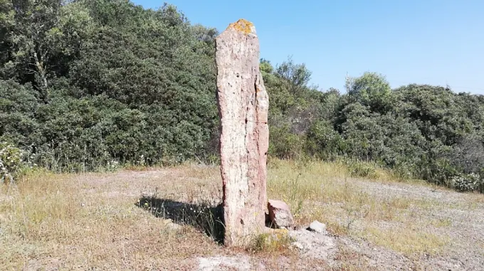 Menhir di Terra Coccoi