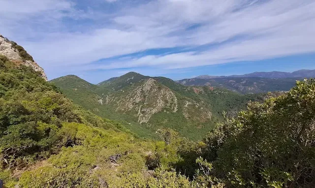 Foresta demaniale del Marganai