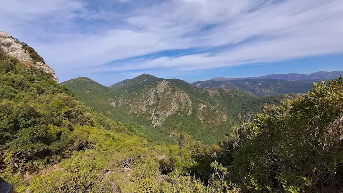 Foresta demaniale del Marganai