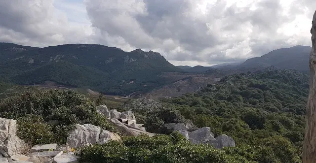 Foresta demaniale di Gutturu Pala