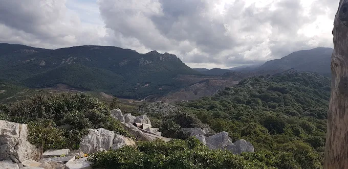 Foresta demaniale di Gutturu Pala