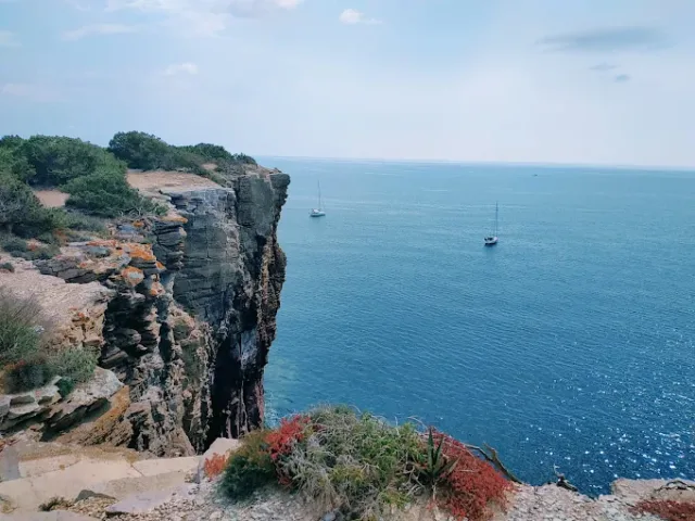 Scogliera del Bue Marino