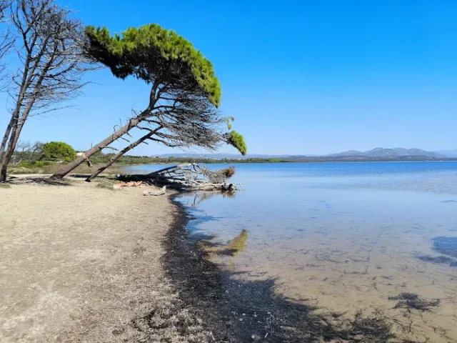 Punta Trettu