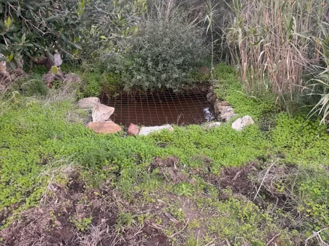 Pozzo sacro Sa Scrocca