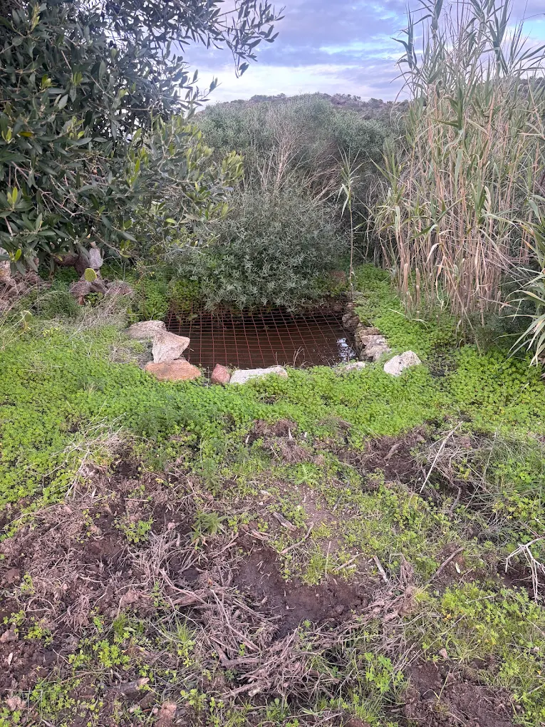 Pozzo sacro Sa Scrocca