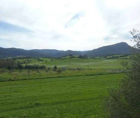 Monte Gioiosa