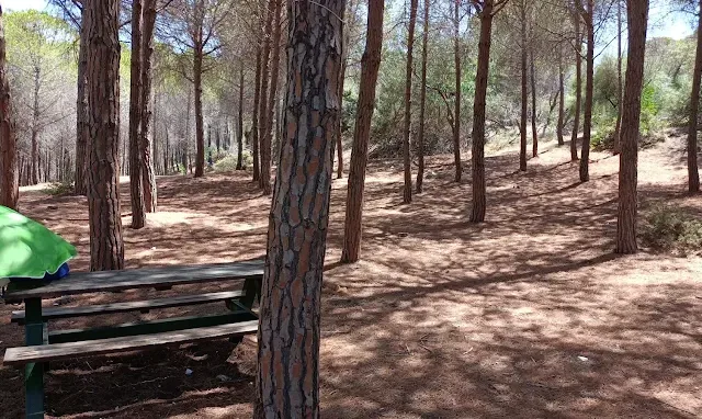 Area picnic di Buggerru