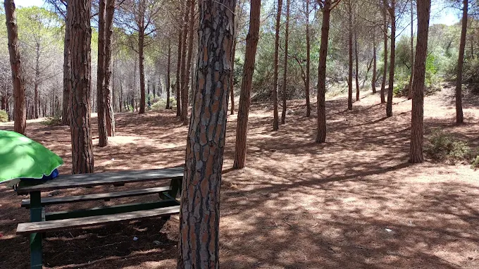 Area picnic di Buggerru
