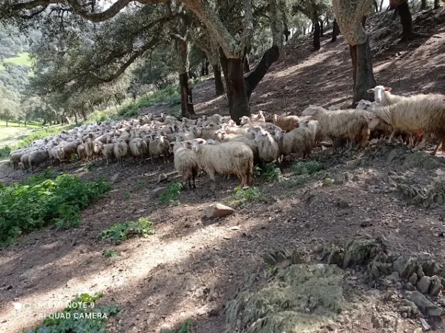 Passo Arcu Genna Bogai