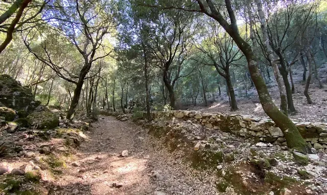 Strada Romana da grotta di Su Mannau