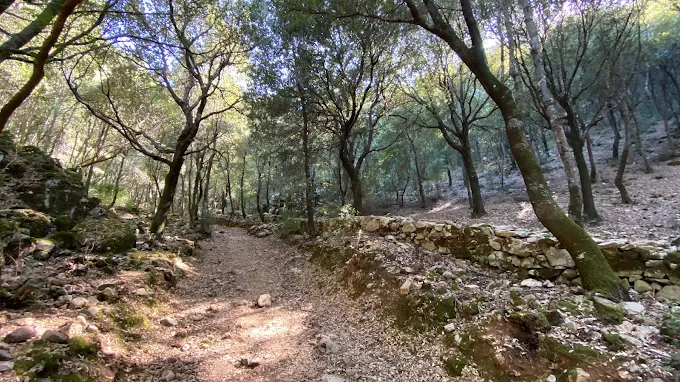 Strada Romana da grotta di Su Mannau
