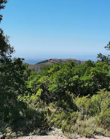 Punta Campu Spina