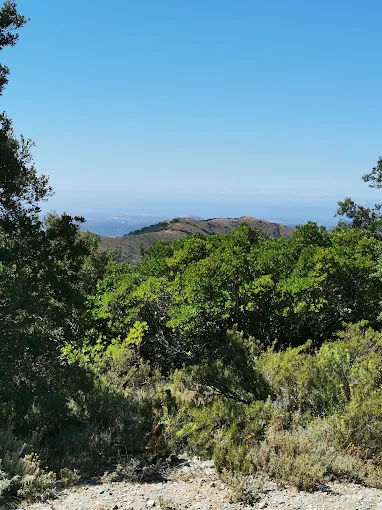 Punta Campu Spina