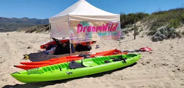 DreamWild Kayak & SUP
