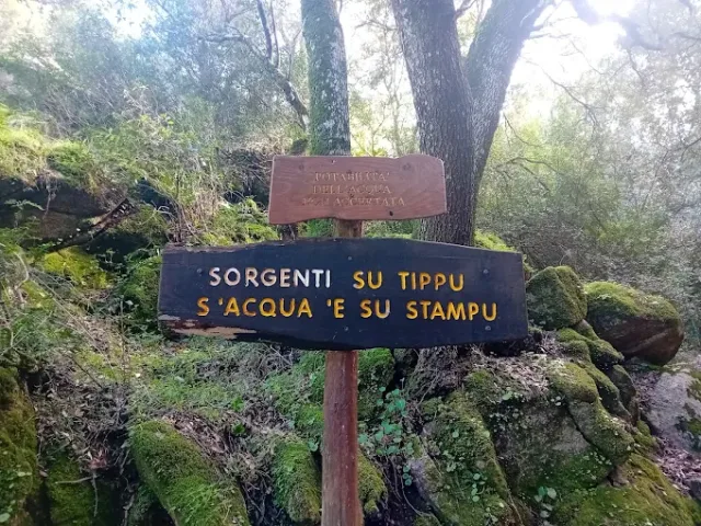 Sorgenti su tippu e s'acqua e su Stampu