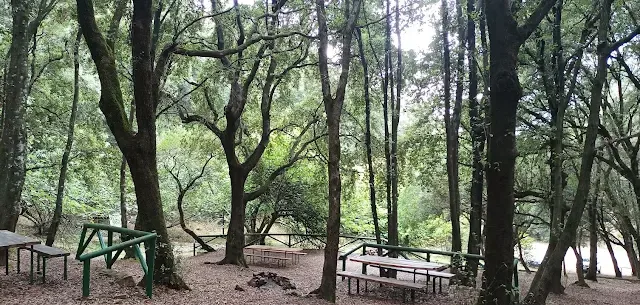 Area Picnic di Is Figueras