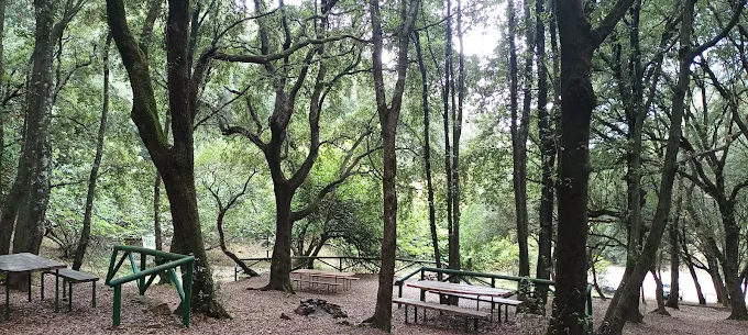 Area Picnic di Is Figueras
