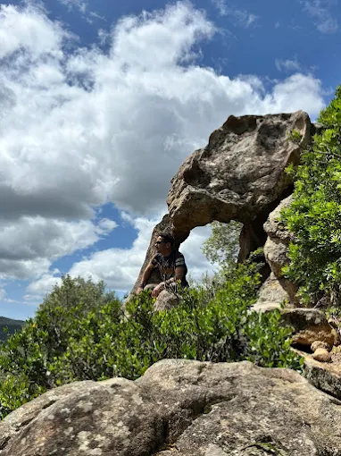 La testa dell'elefante