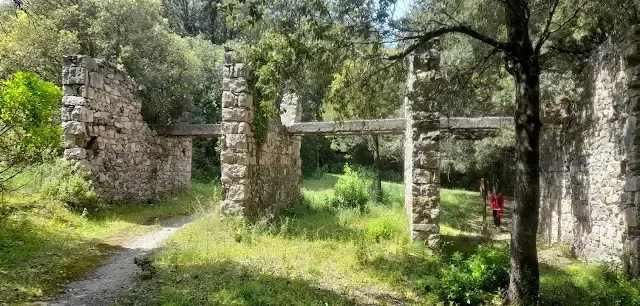 Foresta di Pantaleo-Is Cannoneris
