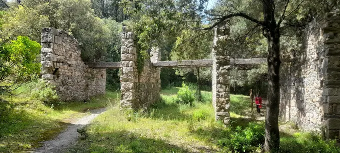 Foresta di Pantaleo-Is Cannoneris