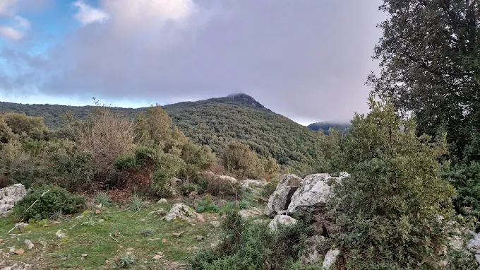 Sa Perda de Giuanni Melisi