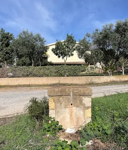 Antico abbeveratoio