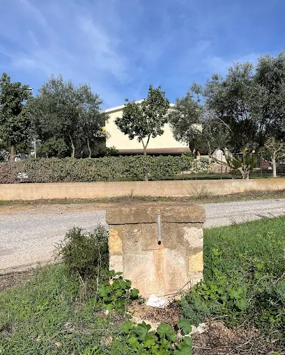 Antico abbeveratoio