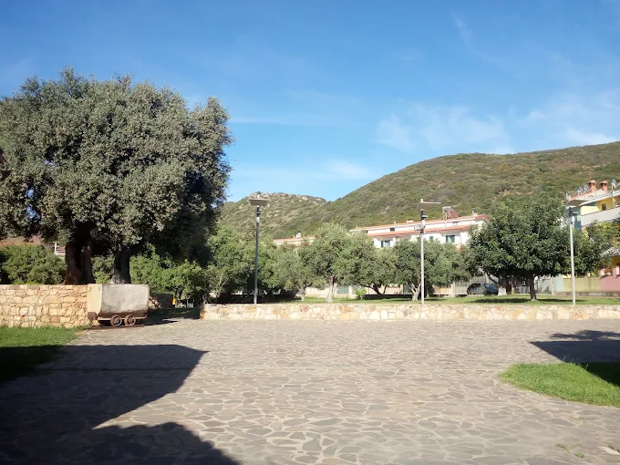S'Olivariu