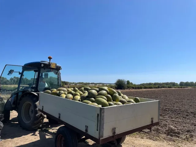 Azienda agricola Alex & Raffy